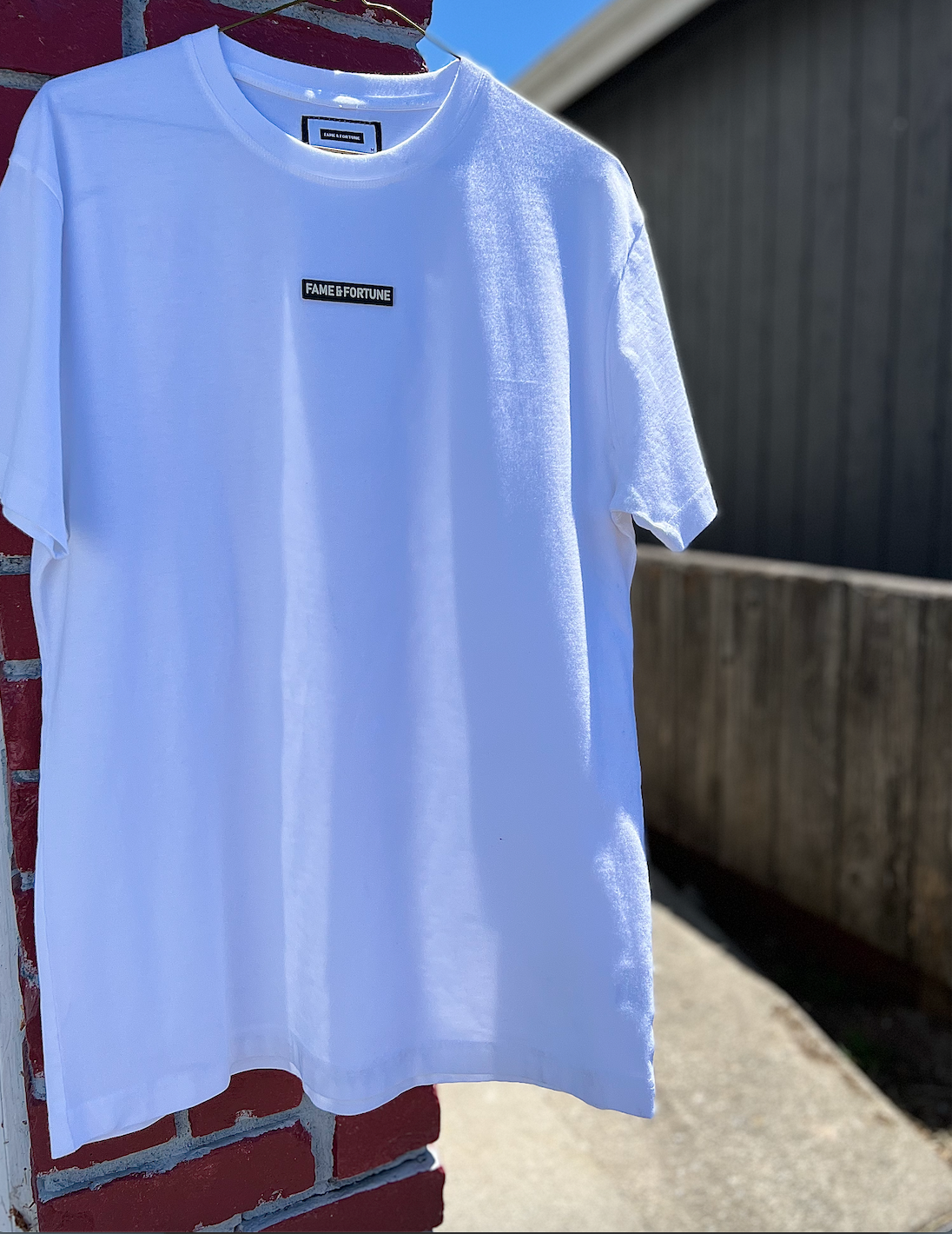 Fame And Fortune Co